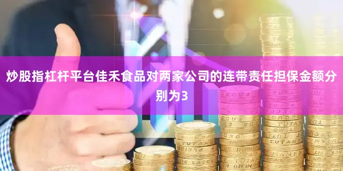 炒股指杠杆平台佳禾食品对两家公司的连带责任担保金额分别为3