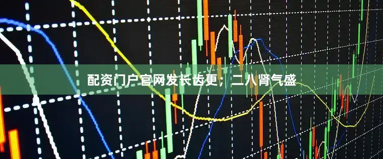 配资门户官网发长齿更；二八肾气盛