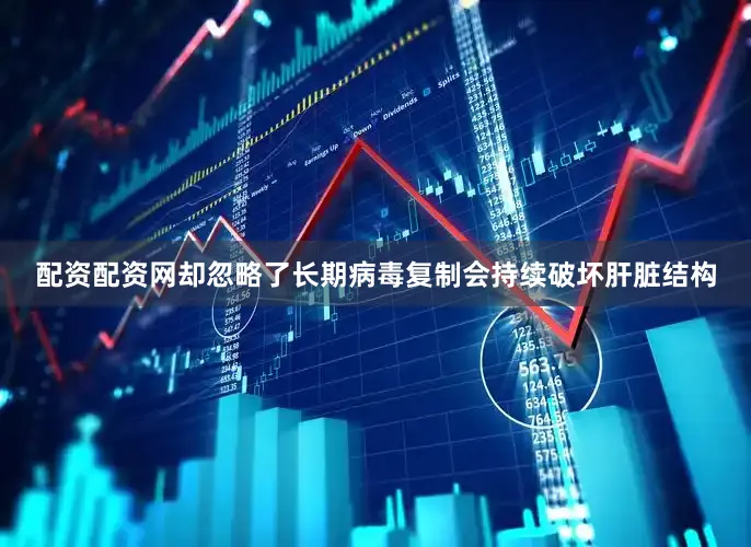 配资配资网却忽略了长期病毒复制会持续破坏肝脏结构